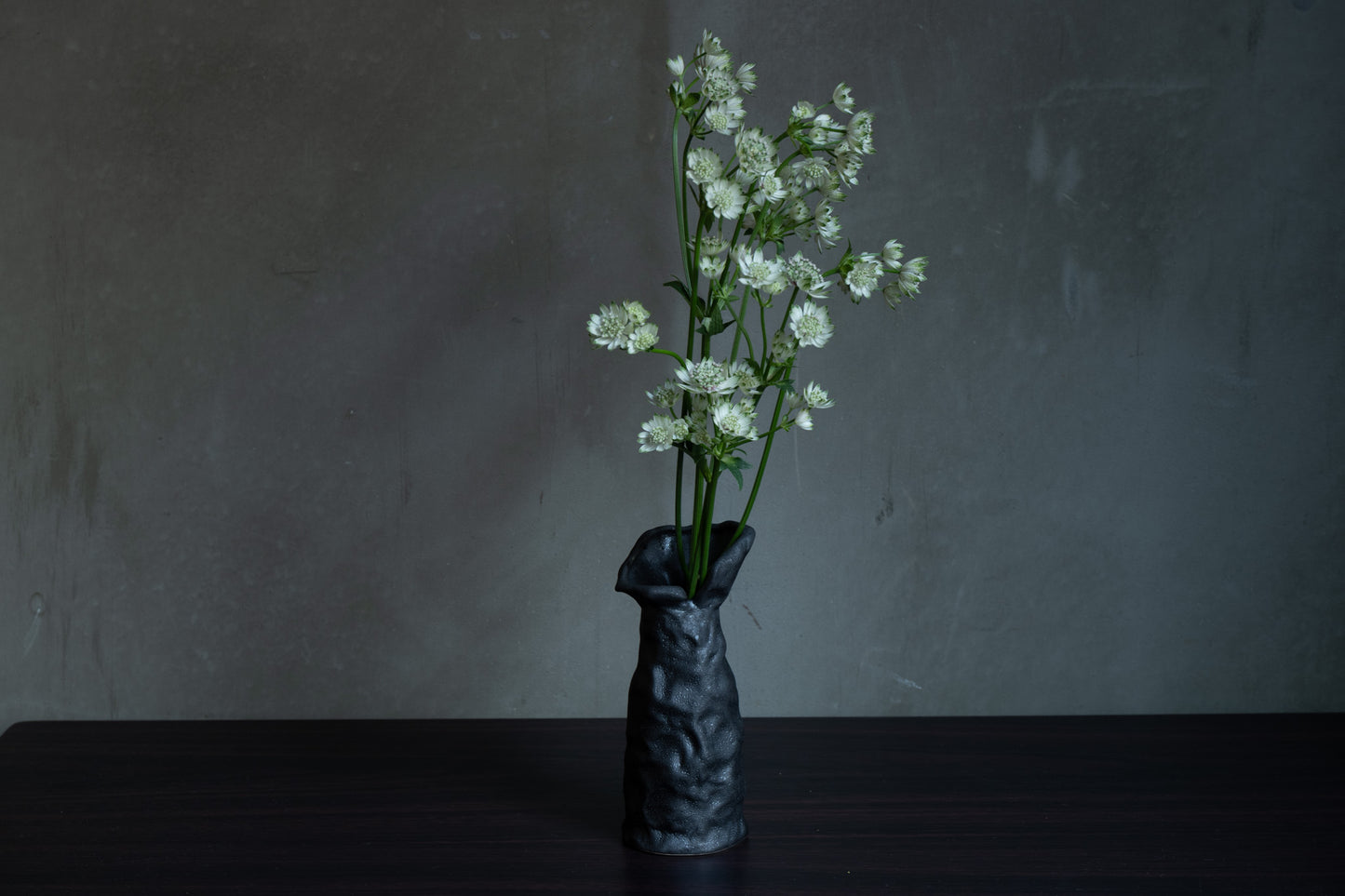 [Pre-order sale] Flower vase / Iwao